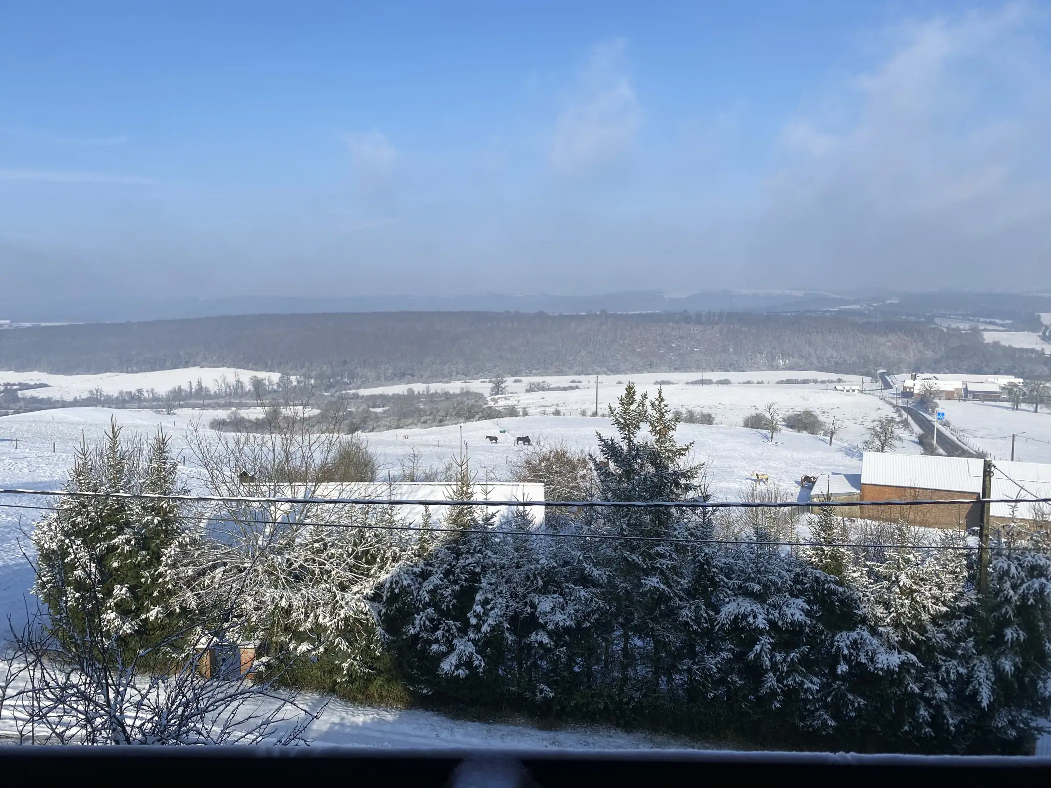 Cottage for 15 people in Beauraing Gîte Le Chalet Suisse